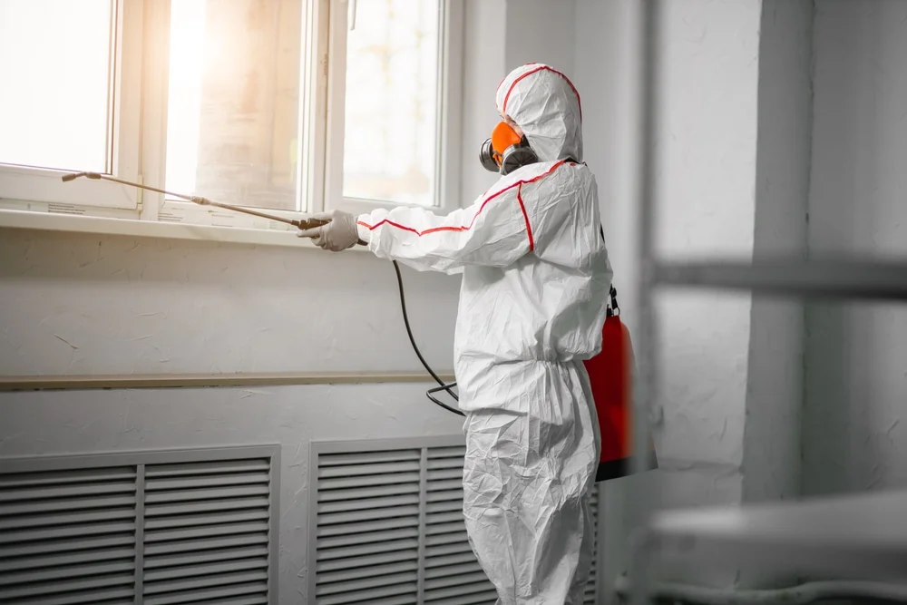 Professional mold remediation services in Pigeon, MI